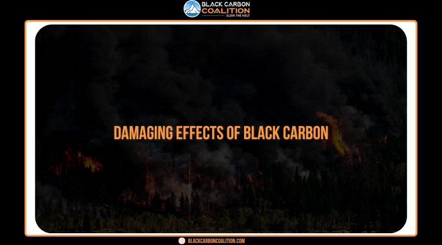 Damaging Effects of Black Carbon