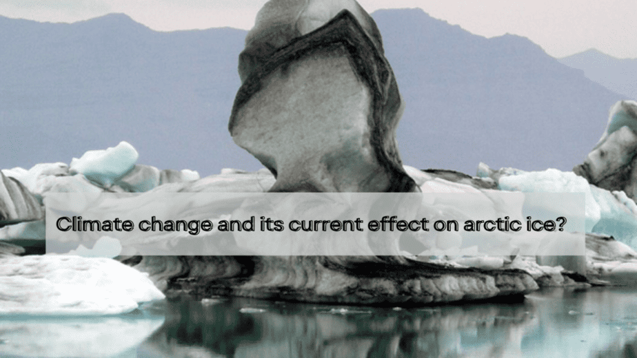 Climate change and its current effect on artic ice